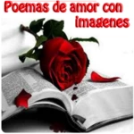 poemas de amor con imagenes android application logo